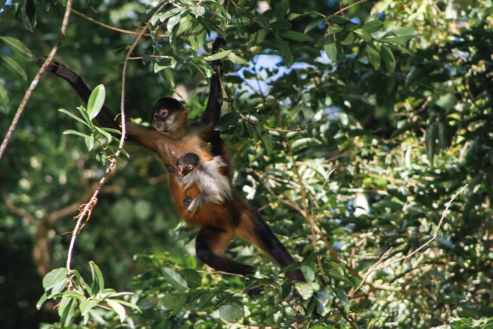 Kanu-Tour im Tortuguero Nationalpark | wizardtrip