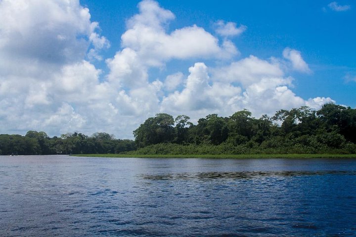 Passeio de canoa navegando pelos exuberantes canais do Parque Nacional Tortuguero, Costa Rica, observando a vida selvagem, foto 7 | wizardtrip