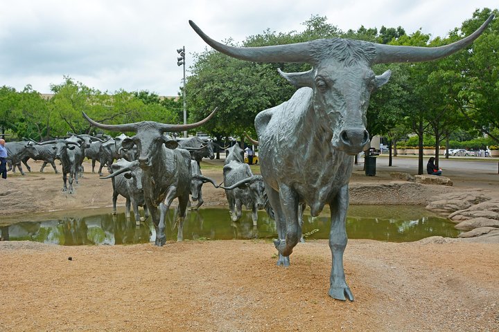 Tur i åben varebil i Dallas forbi vartegn som JFK Memorial og Pioneer Plaza, foto 6 | wizardtrip