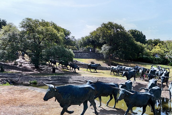 Tur i åben varebil i Dallas forbi vartegn som JFK Memorial og Pioneer Plaza, foto 39 | wizardtrip