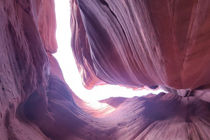 Passeio privado de UTV para o Peek-A-Boo Slot Canyon no Parque Nacional de Zion, foto 9 | wizardtrip