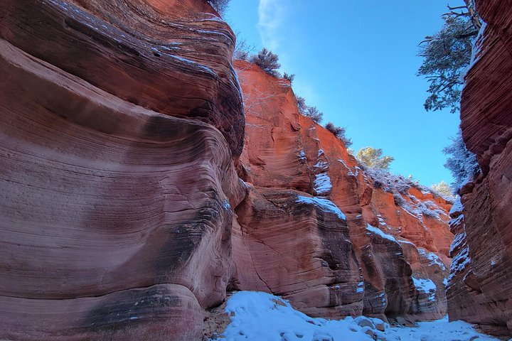 Passeio privado de UTV para o Peek-A-Boo Slot Canyon no Parque Nacional de Zion, foto 17 | wizardtrip