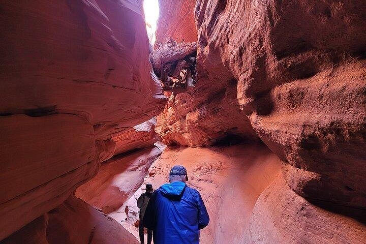 Passeio privado de UTV para o Peek-A-Boo Slot Canyon no Parque Nacional de Zion, foto 21 | wizardtrip