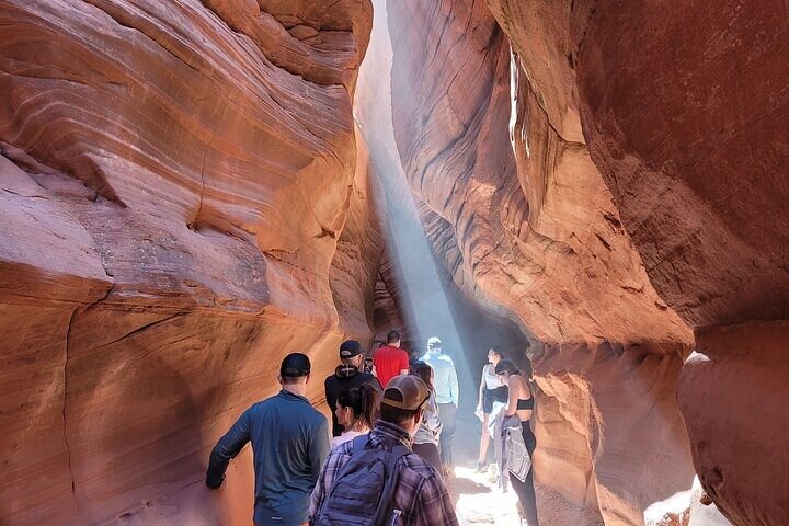 Passeio privado de UTV para o Peek-A-Boo Slot Canyon no Parque Nacional de Zion, foto 24 | wizardtrip