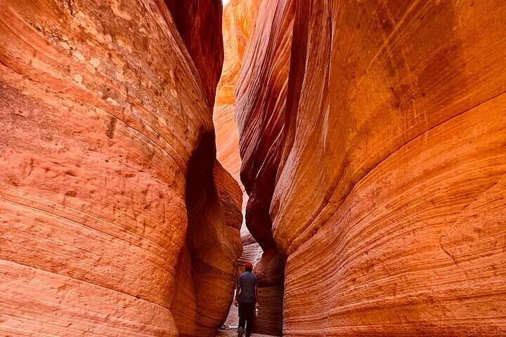 Passeio privado de UTV para o Peek-A-Boo Slot Canyon no Parque Nacional de Zion, foto 26 | wizardtrip