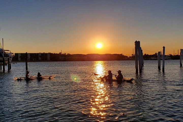 Øko-kajakktur med klar kajakk i Jupiter, Florida, som viser dyreliv og mangrover, foto 7 | wizardtrip