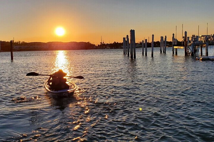 Øko-kajakktur med klar kajakk i Jupiter, Florida, som viser dyreliv og mangrover, foto 12 | wizardtrip