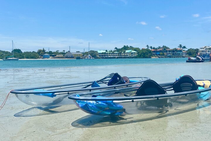 Øko-kajakktur med klar kajakk i Jupiter, Florida, som viser dyreliv og mangrover, foto 14 | wizardtrip