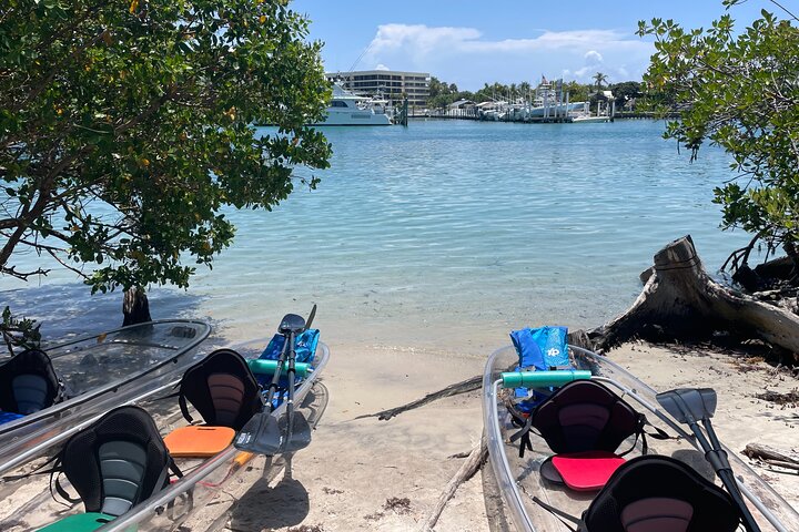 Øko-kajakktur med klar kajakk i Jupiter, Florida, som viser dyreliv og mangrover, foto 16 | wizardtrip