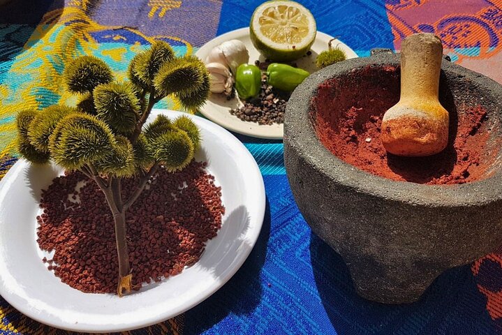 Udforsk gamle mayaruiner, svøm i en cenote og nyd lokal mad på en dagstur fra Cancun, foto 11 | wizardtrip