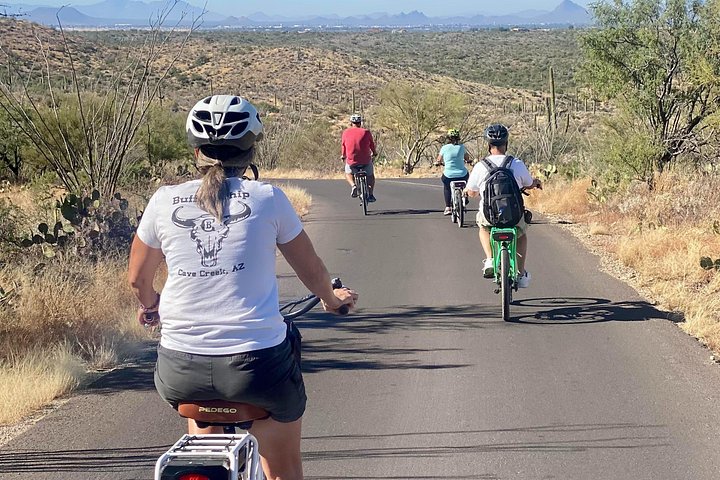 Eksklusiv e-sykkeltur gjennom det naturskjønne ørkenlandskapet i Saguaro nasjonalpark, Tucson, foto 12 | wizardtrip