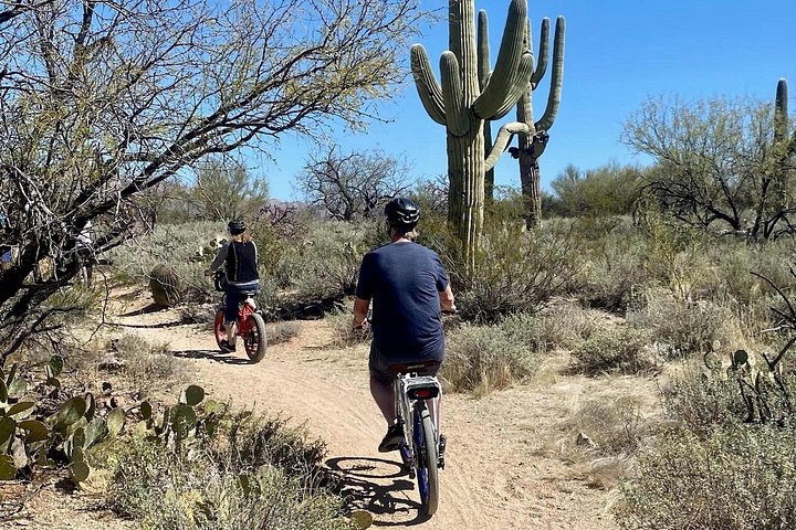 Eksklusiv e-sykkeltur gjennom det naturskjønne ørkenlandskapet i Saguaro nasjonalpark, Tucson, foto 14 | wizardtrip