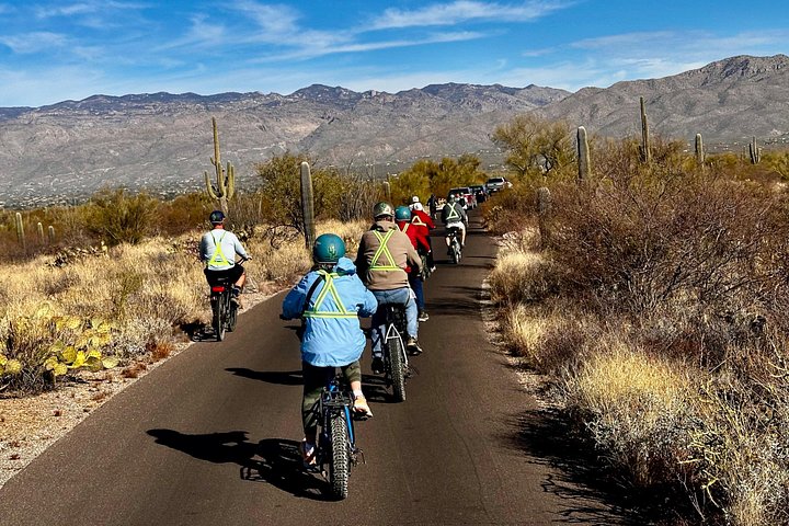 Eksklusiv e-sykkeltur gjennom det naturskjønne ørkenlandskapet i Saguaro nasjonalpark, Tucson, foto 15 | wizardtrip