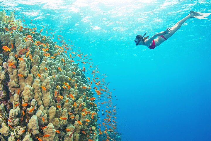 Escursione di lusso in yacht a Ras Mohamed e White Island da Sharm El Sheikh | wizardtrip