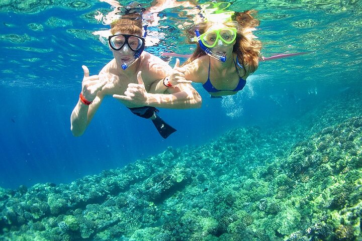 Excursion en yacht de luxe vers White Island et le parc national de Ras Mohamed depuis Charm el Cheikh, Égypte, photo 16 | wizardtrip
