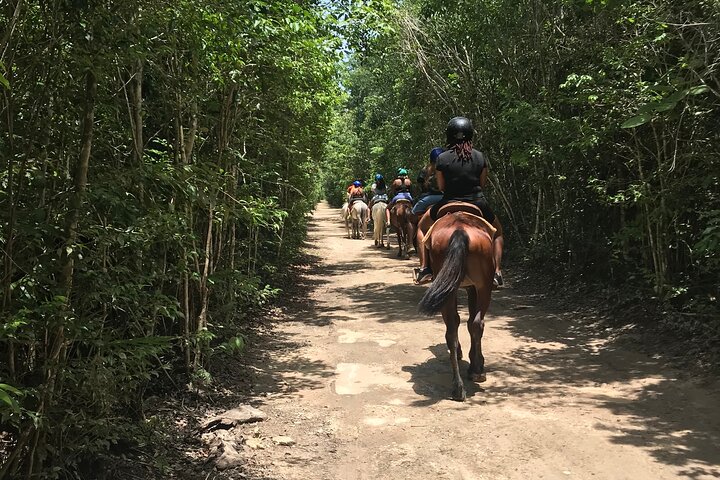Aventure à cheval et VTT, Cenote, Tyroliennes et Déjeuner | wizardtrip