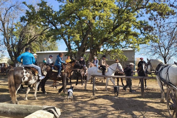 Ganztägige Gaucho-Tour auf einer argentinischen Estancia bei Buenos Aires mit Ausritten und traditioneller Kultur, Foto 14 | wizardtrip