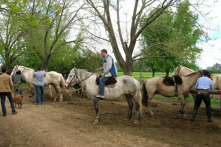 Ganztägige Gaucho-Tour auf einer argentinischen Estancia bei Buenos Aires mit Ausritten und traditioneller Kultur, Foto 26 | wizardtrip