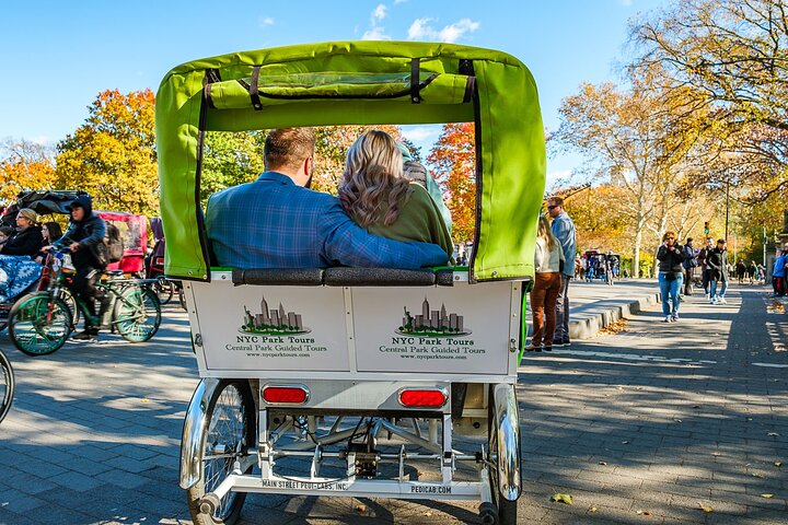 Pedicab tours in Central Park, New York City, showcasing iconic landmarks and scenic beauty, photo 8 | wizardtrip