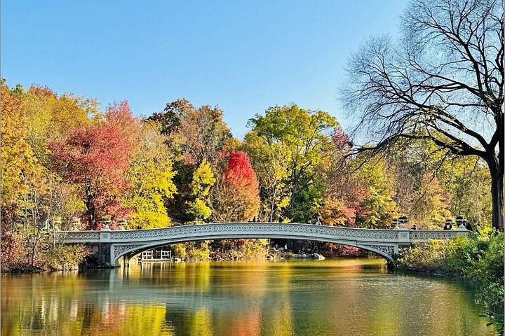 Pedicab tours in Central Park, New York City, showcasing iconic landmarks and scenic beauty, photo 9 | wizardtrip