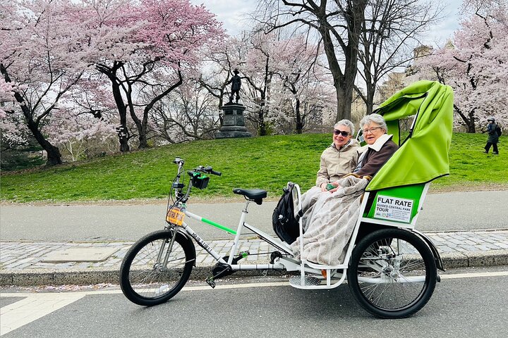 Pedicab tours in Central Park, New York City, showcasing iconic landmarks and scenic beauty, photo 11 | wizardtrip