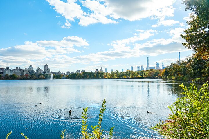 Pedicab tours in Central Park, New York City, showcasing iconic landmarks and scenic beauty, photo 12 | wizardtrip