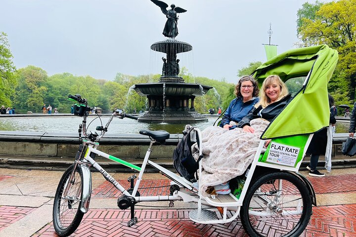 Pedicab tours in Central Park, New York City, showcasing iconic landmarks and scenic beauty, photo 13 | wizardtrip