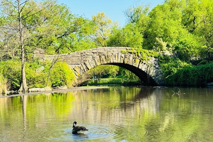 Pedicab tours in Central Park, New York City, showcasing iconic landmarks and scenic beauty, photo 14 | wizardtrip