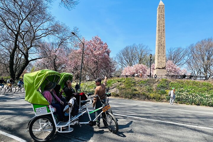 Pedicab tours in Central Park, New York City, showcasing iconic landmarks and scenic beauty, photo 15 | wizardtrip