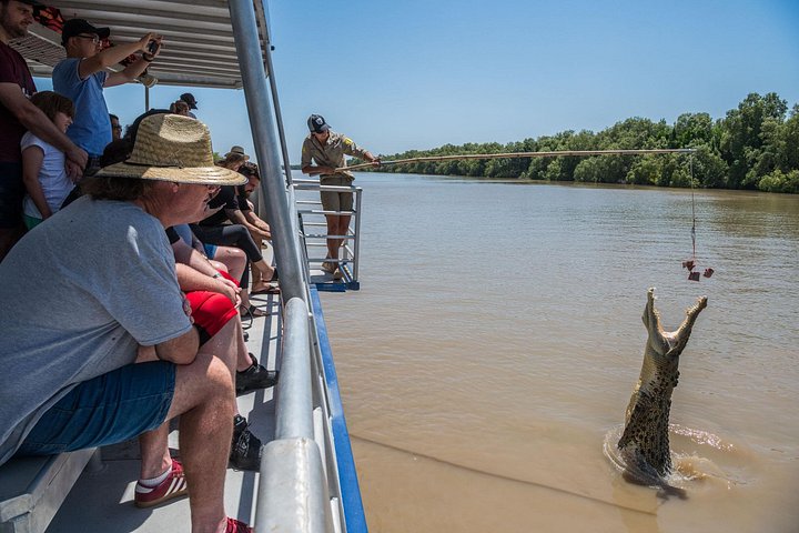 Witness crocodiles leaping from the water on a thrilling 1-hour cruise on Darwin's Adelaide River, photo 6 | wizardtrip