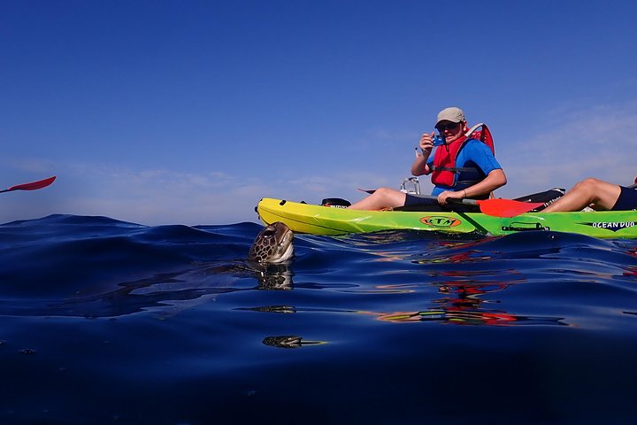 Aventure en kayak et snorkeling à Tenerife avec dauphins et tortues, photo 7 | wizardtrip