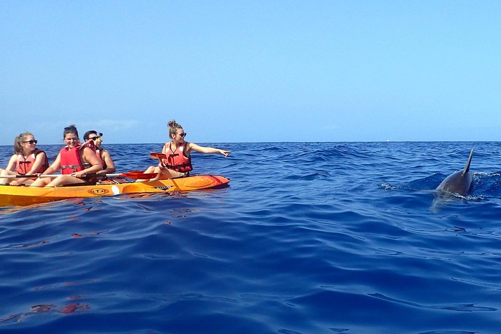 Aventure en kayak et snorkeling à Tenerife avec dauphins et tortues, photo 8 | wizardtrip