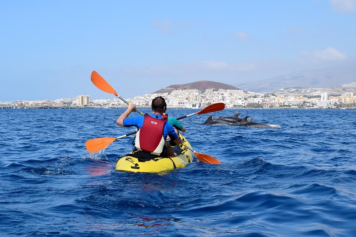 Aventure en kayak et snorkeling à Tenerife avec dauphins et tortues, photo 12 | wizardtrip