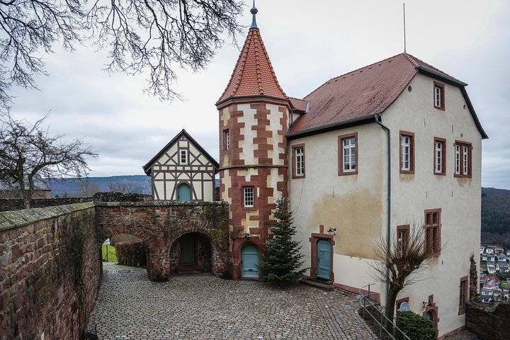 Private Luxus-Van-Tour durch historische deutsche Städte und Burgen wie Heidelberg, Foto 21 | wizardtrip