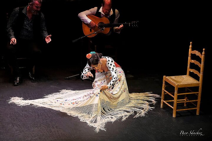 Experience a passionate flamenco show in Seville's historic Triana district, photo 8 | wizardtrip
