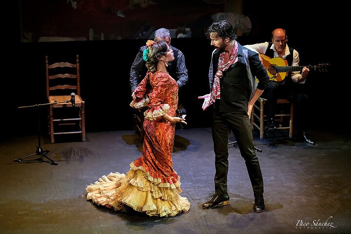 Experience a passionate flamenco show in Seville's historic Triana district, photo 10 | wizardtrip