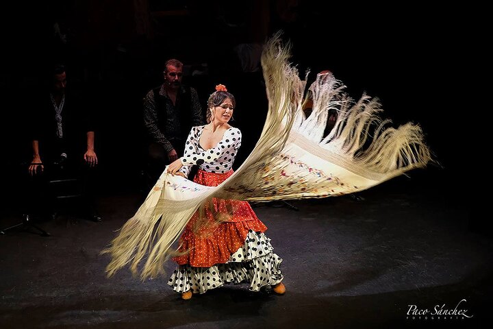 Experience a passionate flamenco show in Seville's historic Triana district, photo 11 | wizardtrip