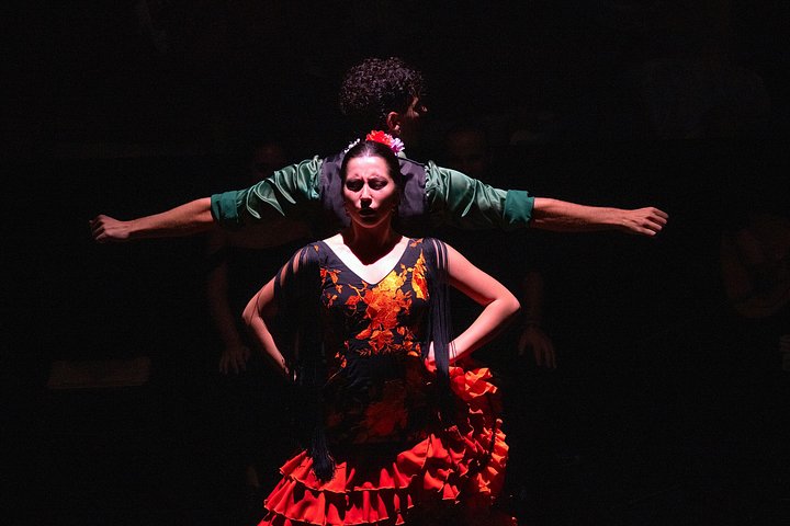 Experience a passionate flamenco show in Seville's historic Triana district, photo 12 | wizardtrip