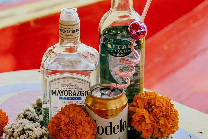 Festa su una trajinera a Xochimilco con bevande illimitate e preparazione del guacamole, foto 9 | wizardtrip
