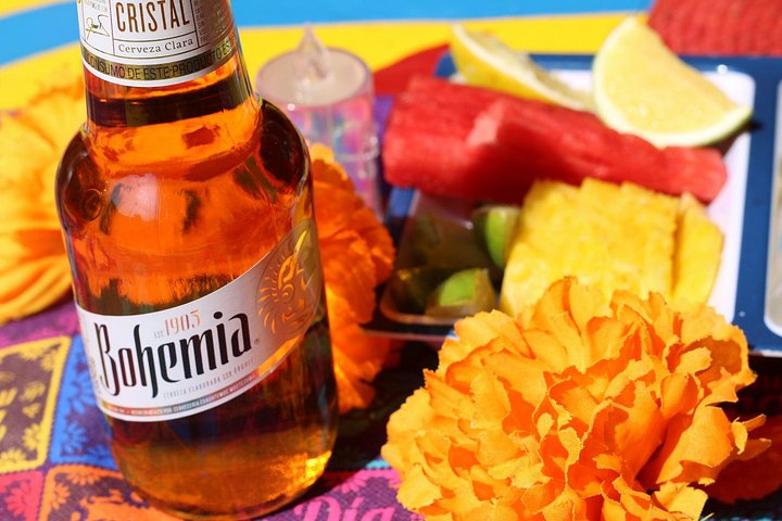Festa su una trajinera a Xochimilco con bevande illimitate e preparazione del guacamole, foto 12 | wizardtrip