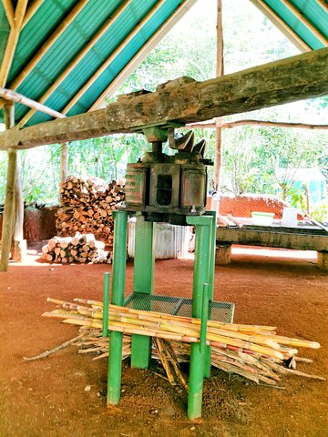 Um tour doce em Quepos, Costa Rica, com chocolate, café e cana-de-açúcar, foto 6 | wizardtrip