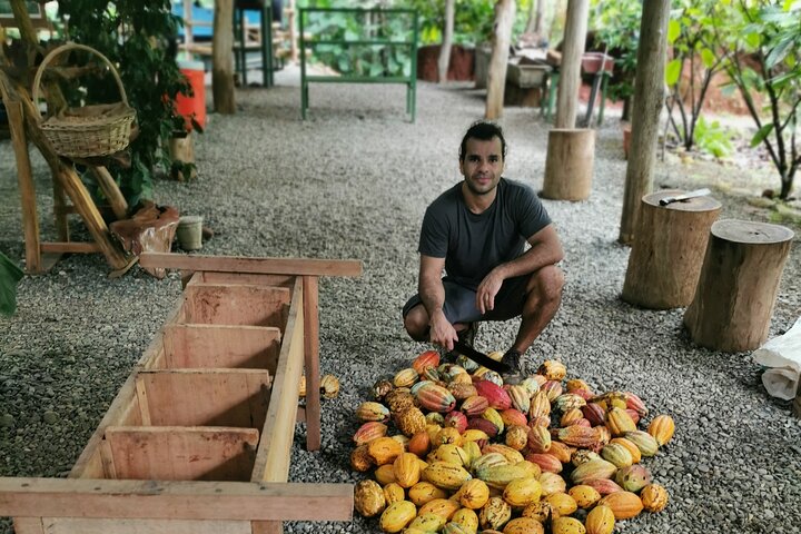 Um tour doce em Quepos, Costa Rica, com chocolate, café e cana-de-açúcar, foto 11 | wizardtrip