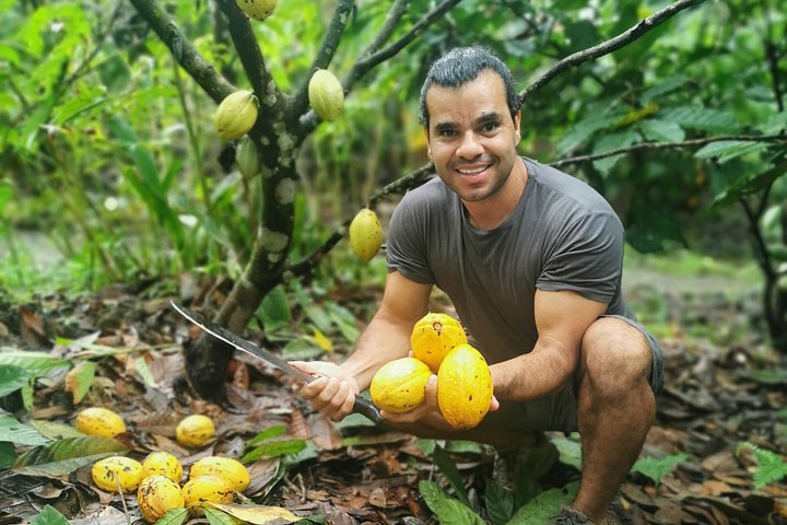 Um tour doce em Quepos, Costa Rica, com chocolate, café e cana-de-açúcar, foto 12 | wizardtrip