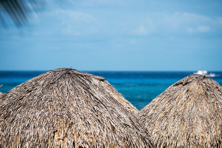 Profitez d'une journée tout compris au Mr. Sancho's Beach Club à Cozumel, Mexique, avec nourriture, boissons et accès à la plage, photo 11 | wizardtrip