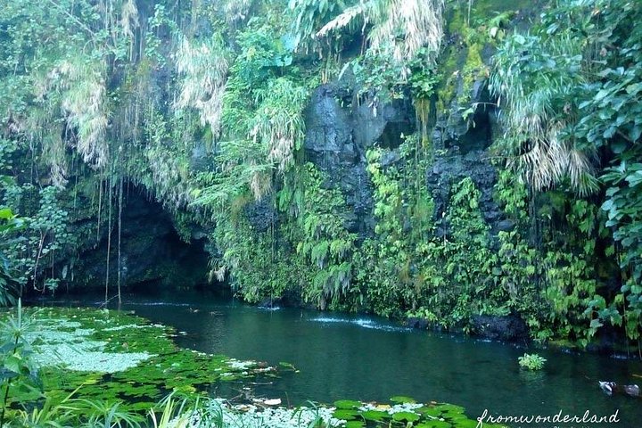 Tour in kleiner Gruppe, die Tahitis Naturwunder, historische Stätten und schwarze Sandstrände erkundet, Foto 8 | wizardtrip