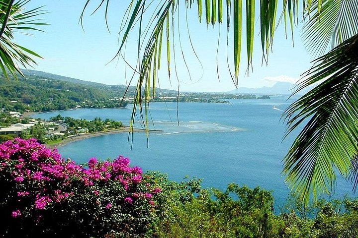 Tour in kleiner Gruppe, die Tahitis Naturwunder, historische Stätten und schwarze Sandstrände erkundet, Foto 9 | wizardtrip