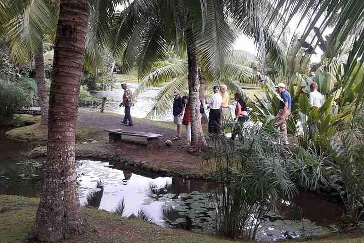 Tour in kleiner Gruppe, die Tahitis Naturwunder, historische Stätten und schwarze Sandstrände erkundet, Foto 12 | wizardtrip