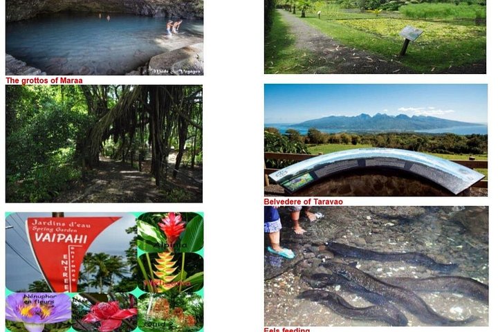 Tour in kleiner Gruppe, die Tahitis Naturwunder, historische Stätten und schwarze Sandstrände erkundet, Foto 19 | wizardtrip