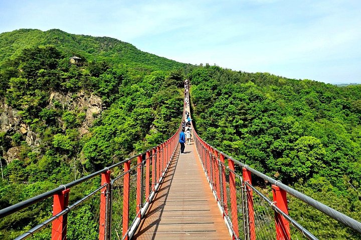 Tour DMZ desde Seúl, Corea del Sur, con sitios históricos y vistas de la frontera, foto 26 | wizardtrip