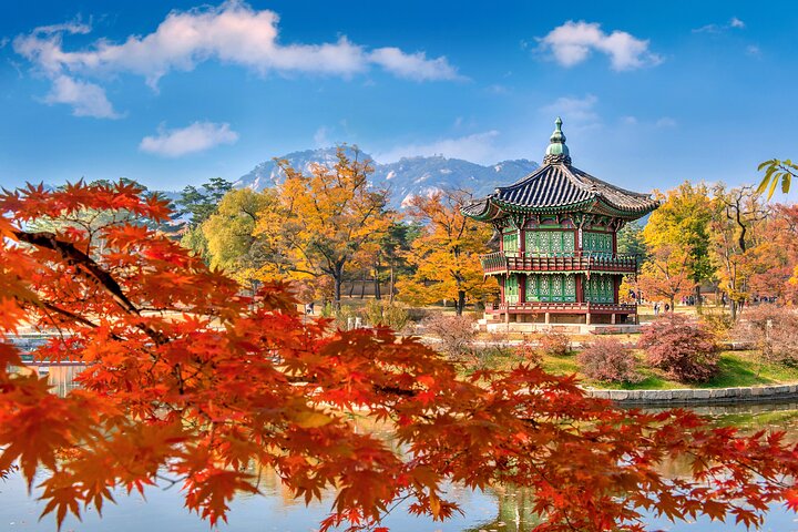 Un tour guiado por el histórico Palacio Gyeongbok de Seúl, la tradicional Aldea Hanok y el bullicioso Mercado Gwangjang, foto 16 | wizardtrip
